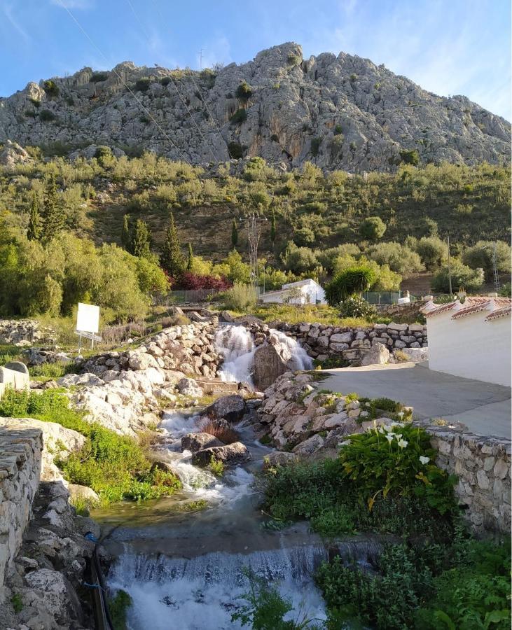 Casa De Los Alamos Periana Bagian luar foto